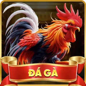 Đá gà trực tuyến đá gà casino