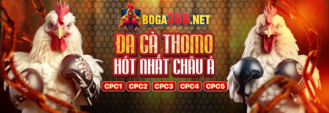 Hình ảnh ứng dụng đá gà casino trên điện thoại