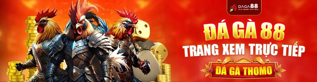 Hướng dẫn chọn trận đá gà đầu tiên
