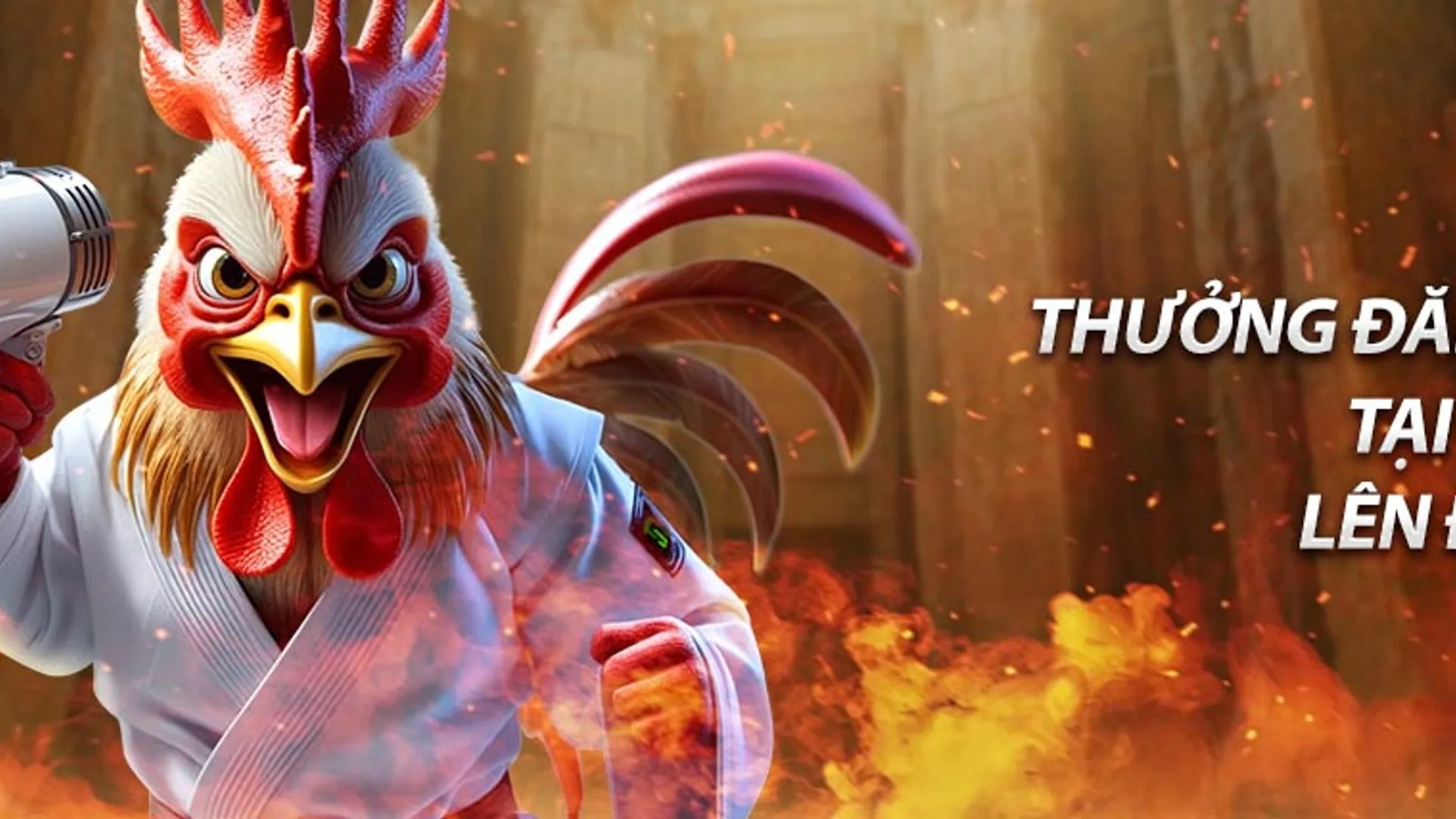 Hình ảnh gà chiến và tiền thưởng casino