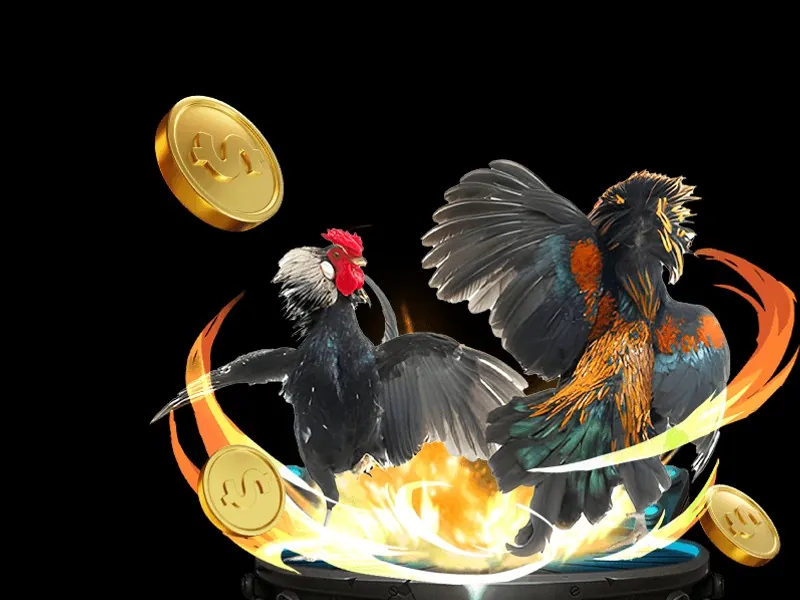 Giao diện nền tảng đá gà casino trực tuyến với các trận đấu hấp dẫn