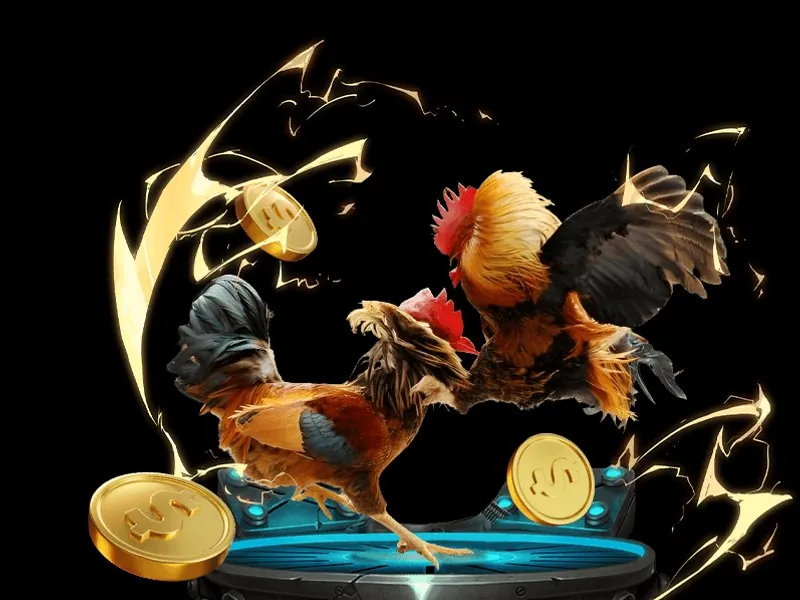 Livestream trận đấu đá gà casino mượt mà